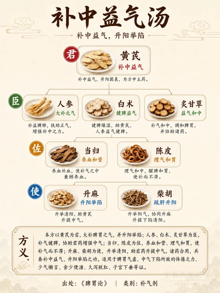 补中益气汤 君臣佐使图