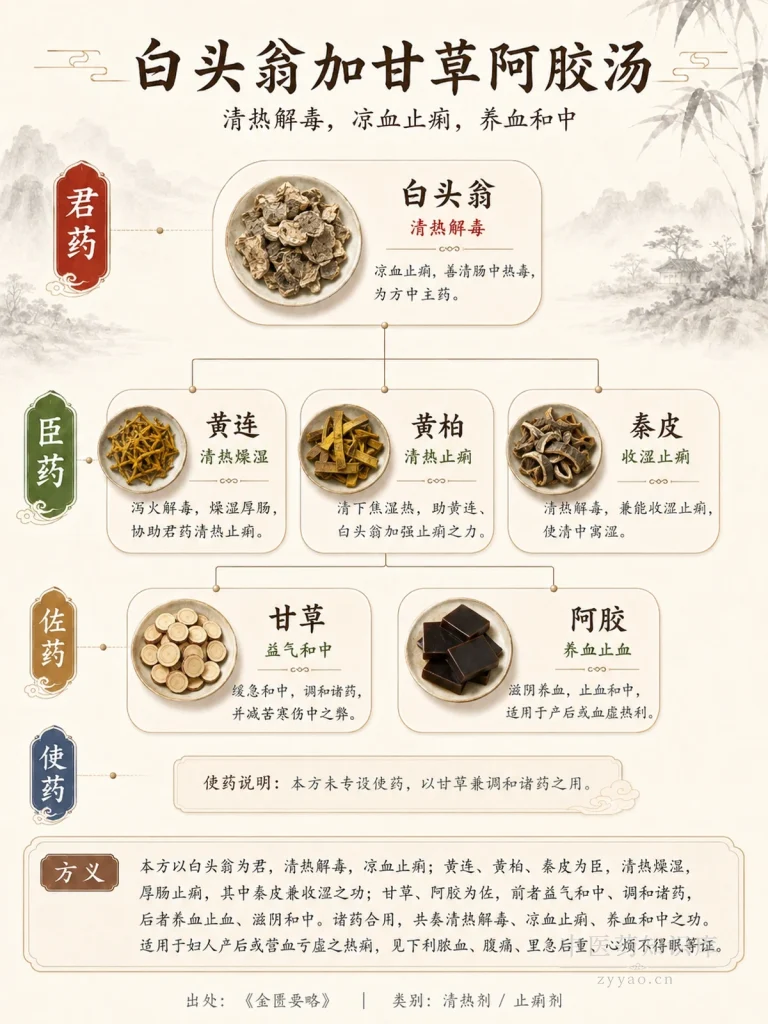 白头翁加甘草阿胶汤 君臣佐使图