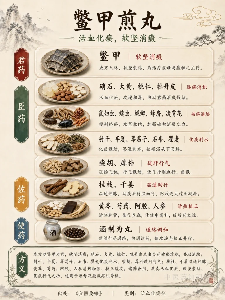 鳖甲煎丸 君臣佐使图