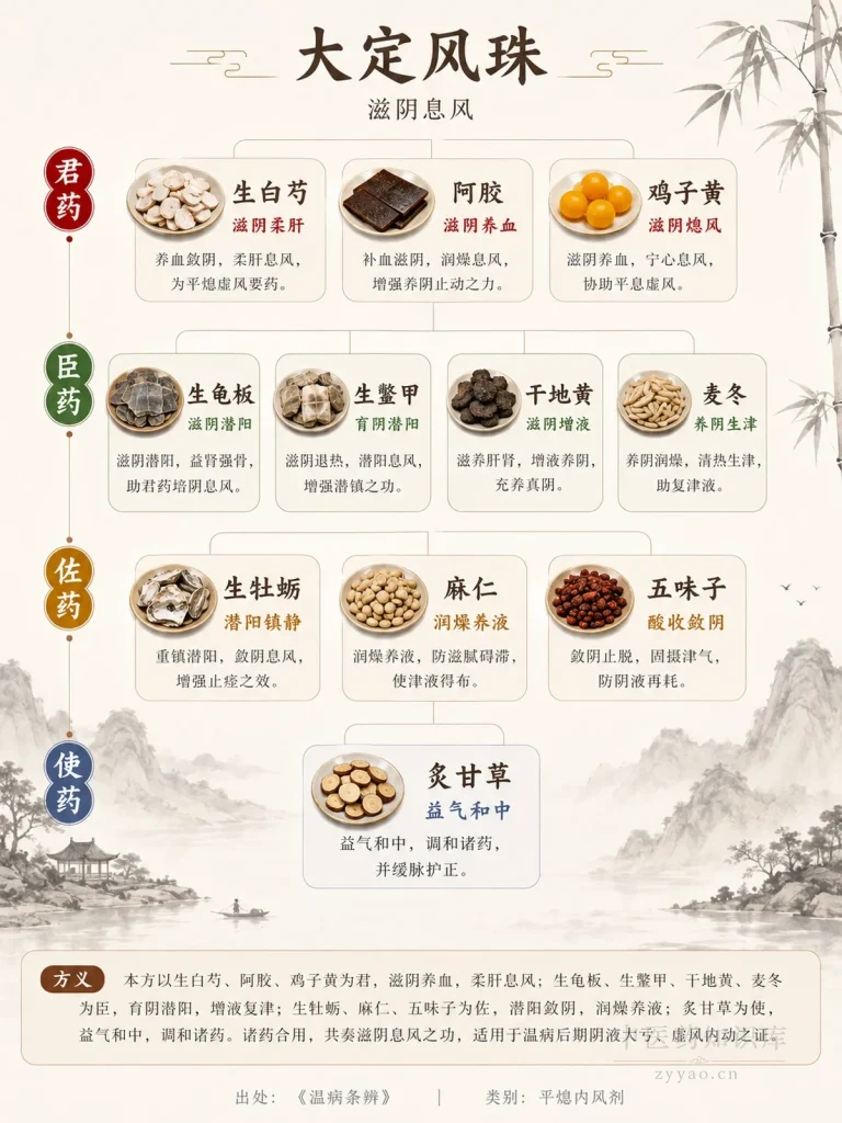 大定风珠君臣佐使金字塔图