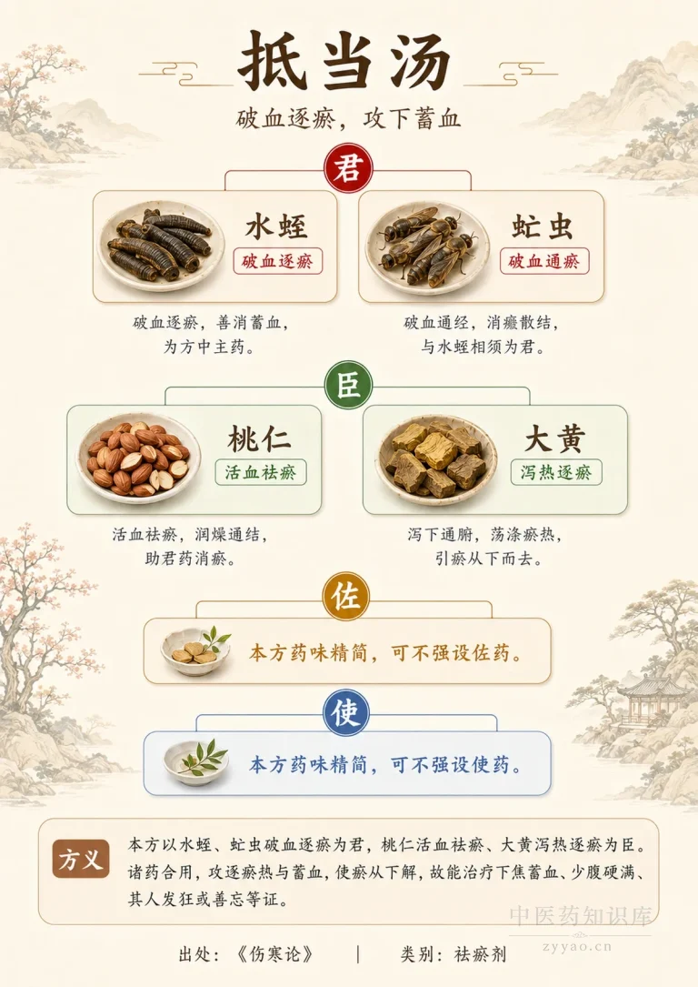 抵当汤君臣佐使金字塔图